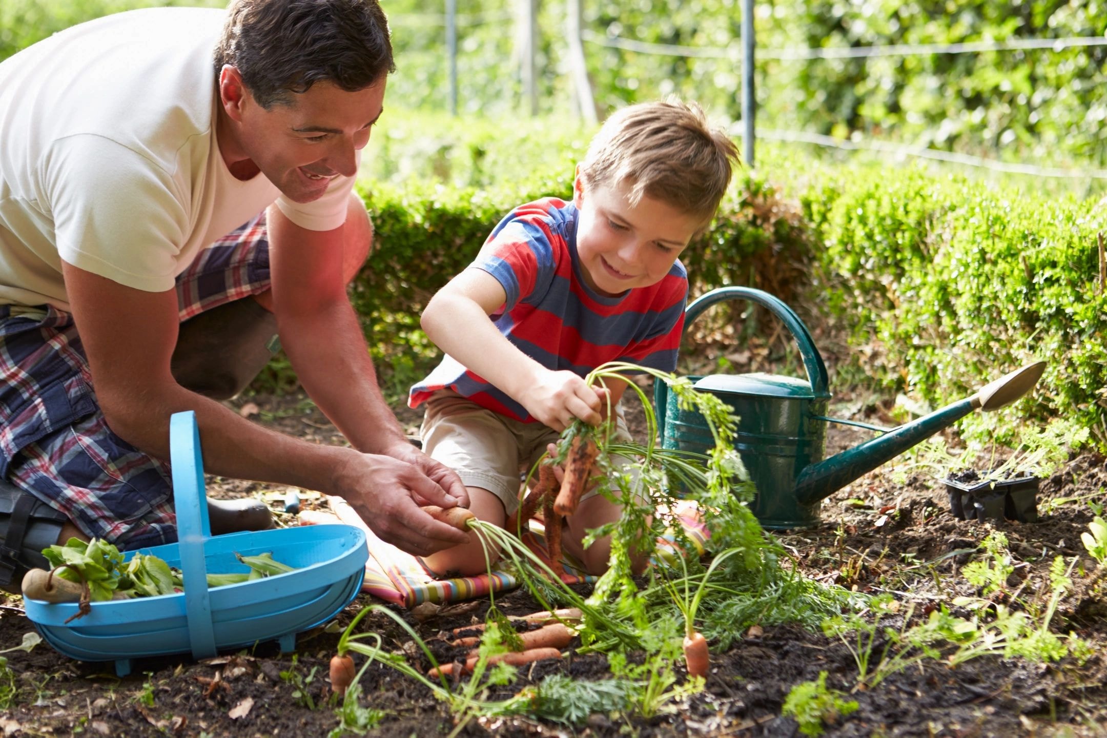 Knollwood Agriculture Garden Kit